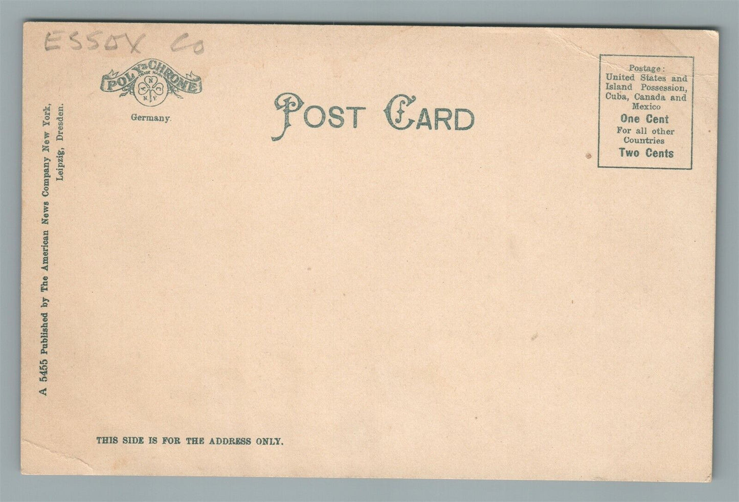 MONTCLAIR NJ MOUNTAIN SLOPE OF BLOOMIELD AVENUE ANTIQUE POSTCARD