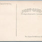 INDIAN BRAVES READY TO ENTER THE GRASS DANCE ANTIQUE POSTCARD US FLAG FULL DRESS