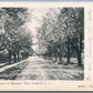 SOUTHOLD LONG ISLAND NY PECONIE LANE 1909 UNDIVIDED ANTIQUE POSTCARD