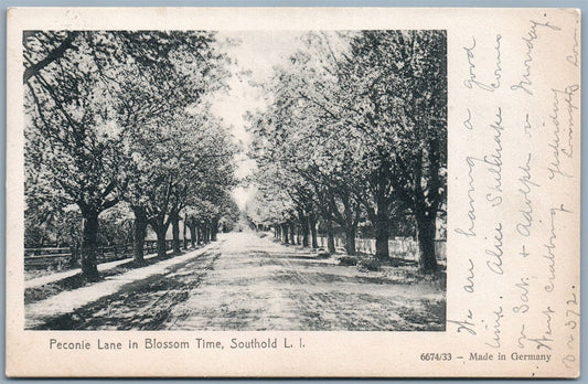 SOUTHOLD LONG ISLAND NY PECONIE LANE 1909 UNDIVIDED ANTIQUE POSTCARD
