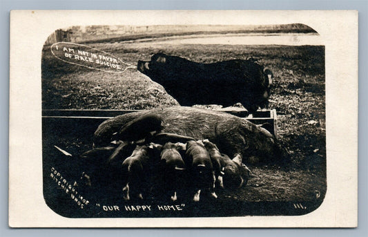 PIGS FAMILY ANTIQUE REAL PHOTO POSTCARD RPPC I AM NOT IN FAVOR OF RACE SUICIDE