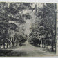 VINTAGE UNDIVIDED POSTCARD - EAST DRIVE ELLERSLIE RHINEBECK NEW YORK