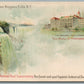 NIAGARA FALLS NY NATURAL FOOD CONSERVATORY ADVERTISING ANTIQUE PRIVATE POSTCARD