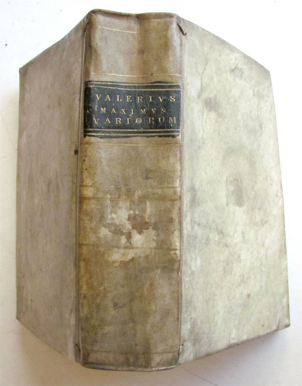 1660 Valerius Maximus Cum Selectis Observati ANTIQUE VELLUM BINDING