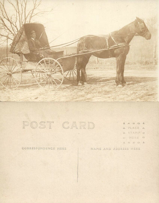 HORSE CARRIAGE REAL PHOTO ANTIQUE POSTCARD RPPC