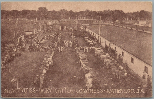 WATERLOO IA DAIRY CATTLE CONGRESS ANTIQUE POSTCARD