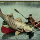 FISHING EXAGGERATED ANTIQUE POSTCARD FIRST ONE I LANDED