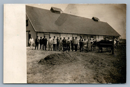 FARMING COW BARN ANTIQUE REAL PHOTO POSTCARD RPPC cowhouse