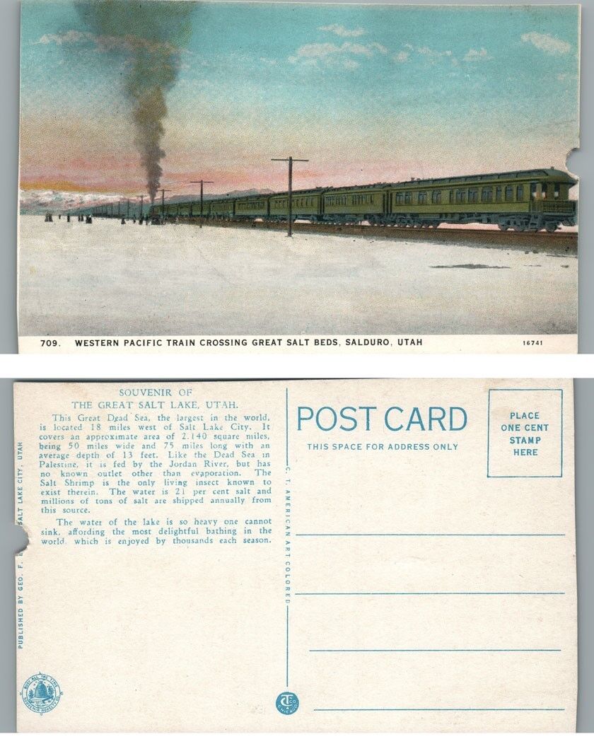 WESTERN PACIFIC TRAIN GREAT SALT BEDS SALDURO UTAH ANTIQUE POSTCARD railroad