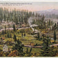 VINTAGE POSTCARD CANTARA LOOP SACRAMENTO RIVER SHASTA RT S.P.R.R. railroad train