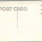 SHELDRAKE SPRINGS POINT NY VINTAGE REAL PHOTO POSTCARD RPPC