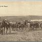 ARTILLERY AT REST WWI ANTIQUE POSTCARD