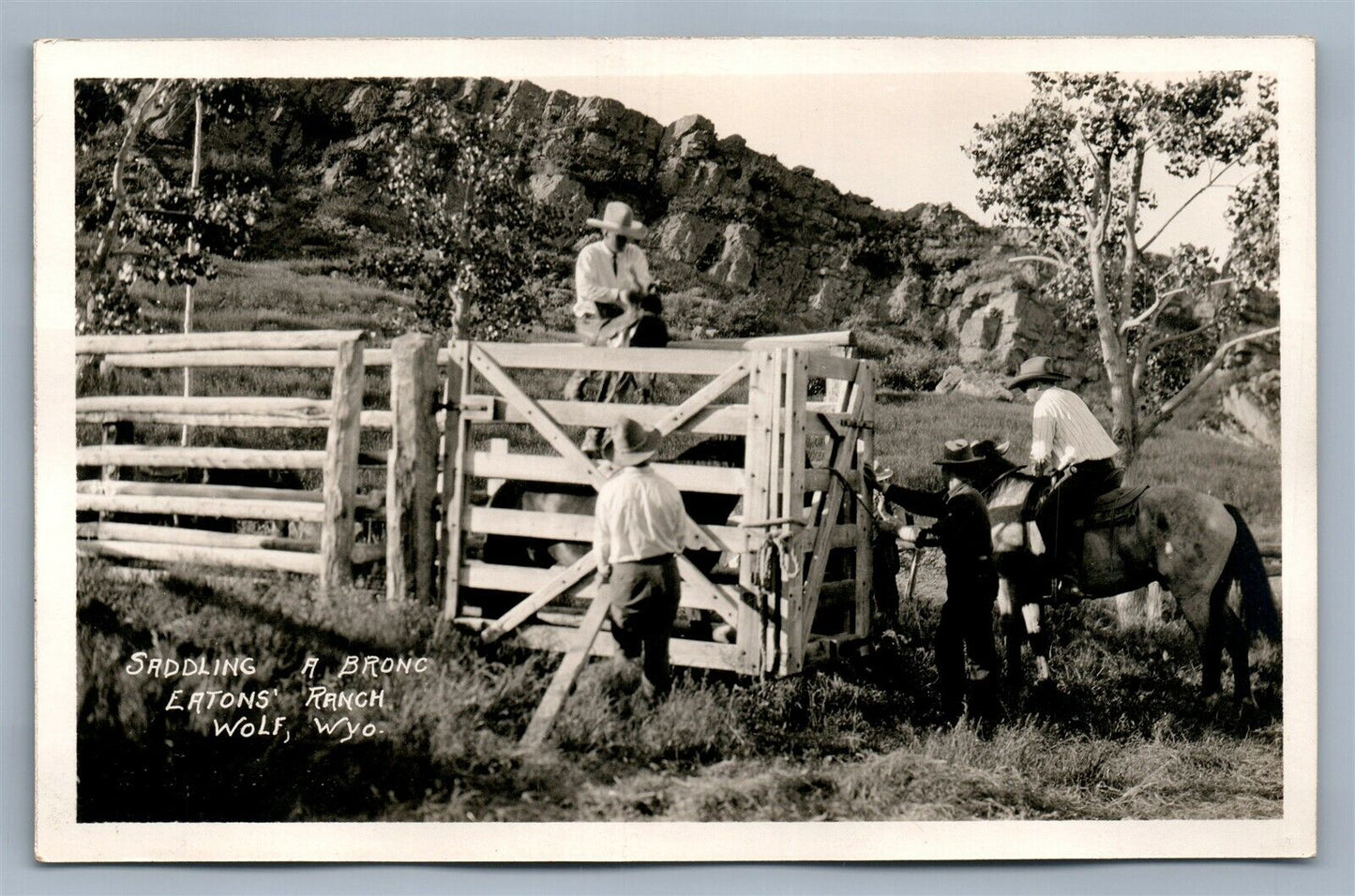 WOLF WYO SADDLING A BRONC EATON'S RANCH ANTIQUE REAL PHOTO POSTCARD RPPC