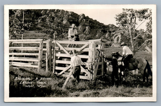 WOLF WYO SADDLING A BRONC EATON'S RANCH ANTIQUE REAL PHOTO POSTCARD RPPC