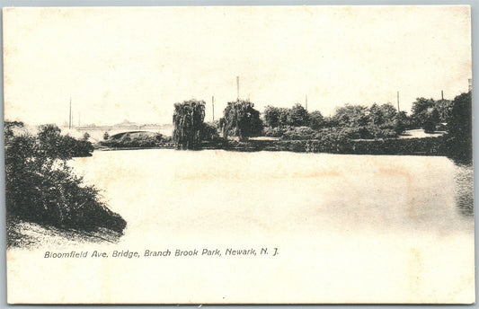 NEWARK NJ BLOOMFIELD AVENUE BRIDGE BRANCH BROOK PARK UNDIVIDED ANTIQUE POSTCARD