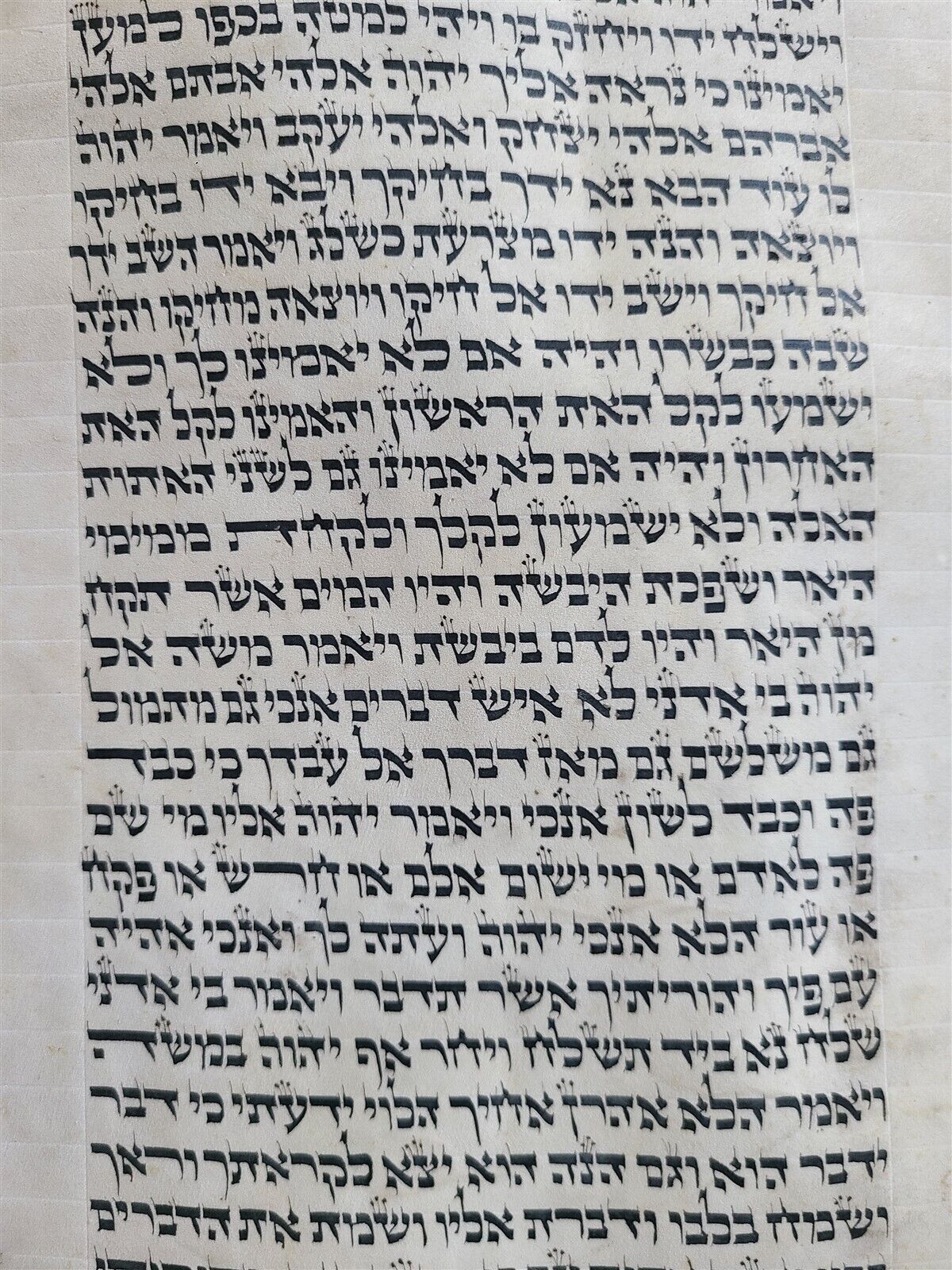 TORAH SCROLL FRAGMENT MANUSCRIPT on VELLUM ANTIQUE BIBLE 20.5 x 30.5"