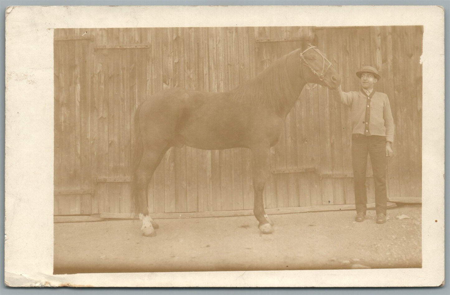 HORSE w/ OWNER ANTIQUE REAL PHOTO POSTCARD RPPC