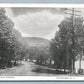 STAMFORD NY MAIN STREET 1905 ANTIQUE POSTCARD