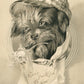 DOG DRESSED IN HAT ANTIQUE POSTCARD