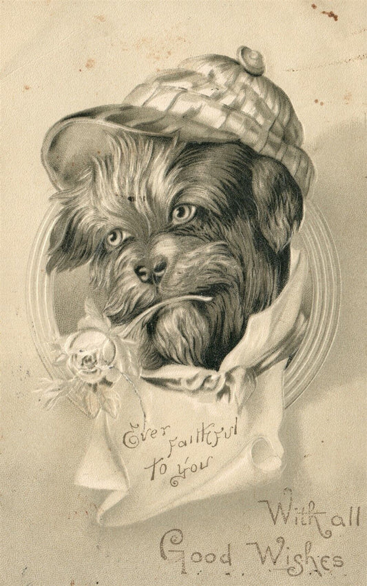 DOG DRESSED IN HAT ANTIQUE POSTCARD