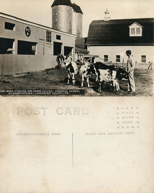 ELIZABETHTOWN PA MASONIC HOMES LANCASTER COW FARM VINTAGE PHOTO POSTCARD RPPC