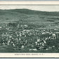SIDNEY NY BIRDS EYE VIEW ANTIQUE POSTCARD