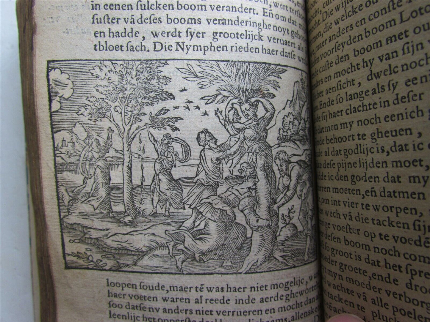 1619 OVID METAMORPHISIS antique ILLUSTRATED