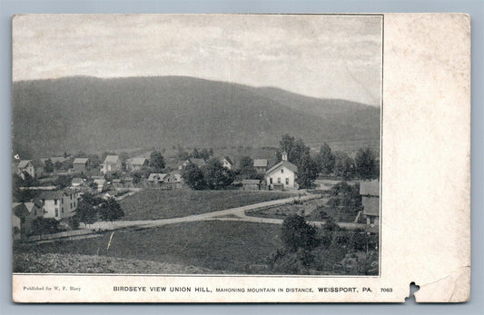 WEISSPORT PA BIRDS EYE VIEW ANTIQUE POSTCARD