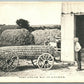 KANSAS CORN EXAGGERATED 1909 ANTIQUE POSTCARD