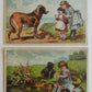 LITTLE GIRLS w/ DOGS SET OF 3 ANTIQUE VICTORIAN TRADE CARDS