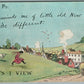 TOWNVILLE PA COMIC ANTIQUE POSTCARD