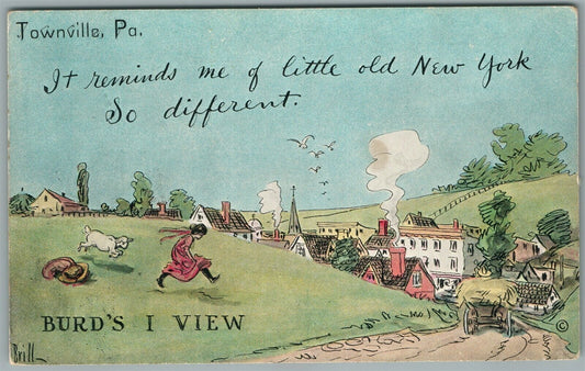 TOWNVILLE PA COMIC ANTIQUE POSTCARD