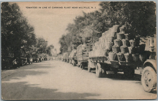 MILLVILLE NJ TOMATOES IN LINE AT CANNING PLANT VINTAGE POSTCARD