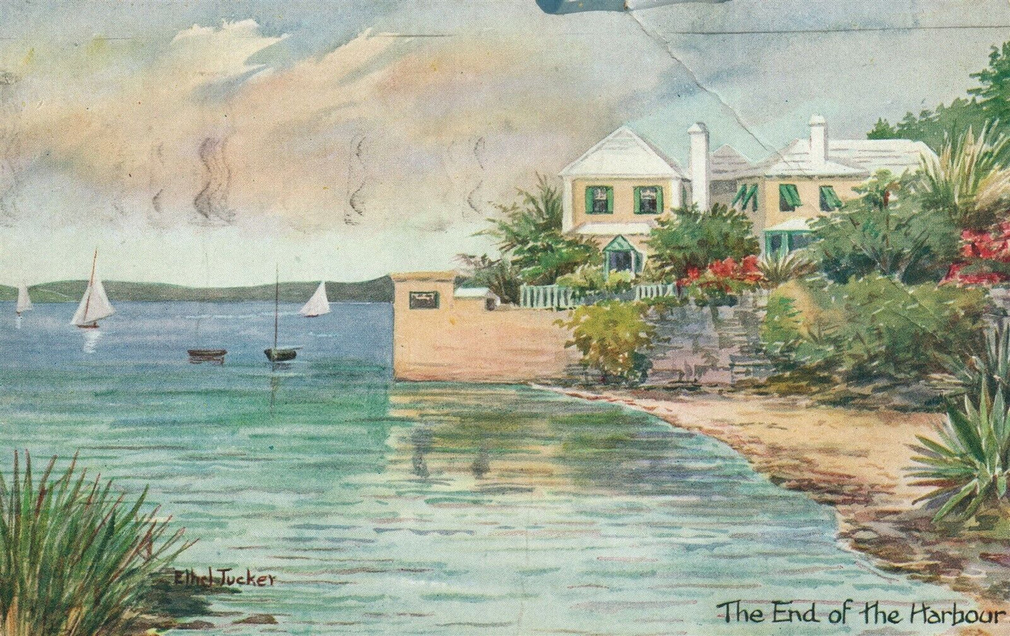 BERMUDA ARTIST SIGNED by ETHEL TUCKER 1936 VINTAGE POSTCARD