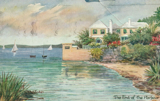 BERMUDA ARTIST SIGNED by ETHEL TUCKER 1936 VINTAGE POSTCARD