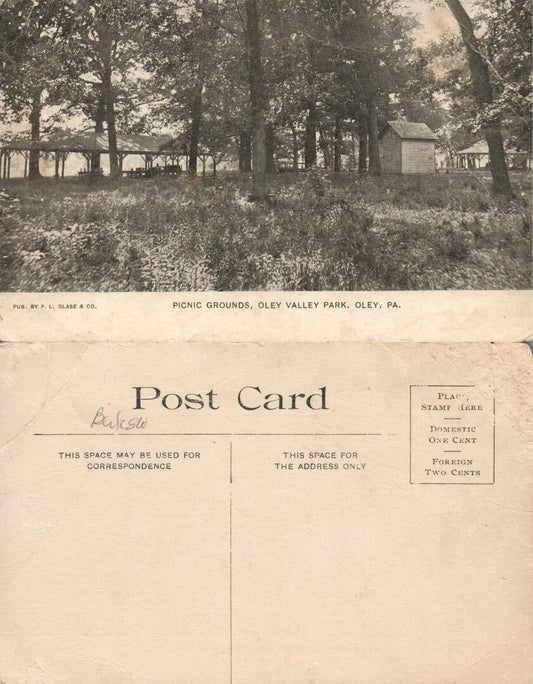 OLEY PA PUBLIC GROUNDS OLEY VALLEY PARK ANTIQUE POSTCARD