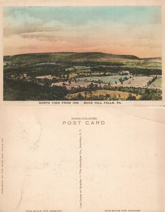 BUCK HILL FALLS PA VIEW FROM INN HAND COLORED ANTIQUE POSTCARD