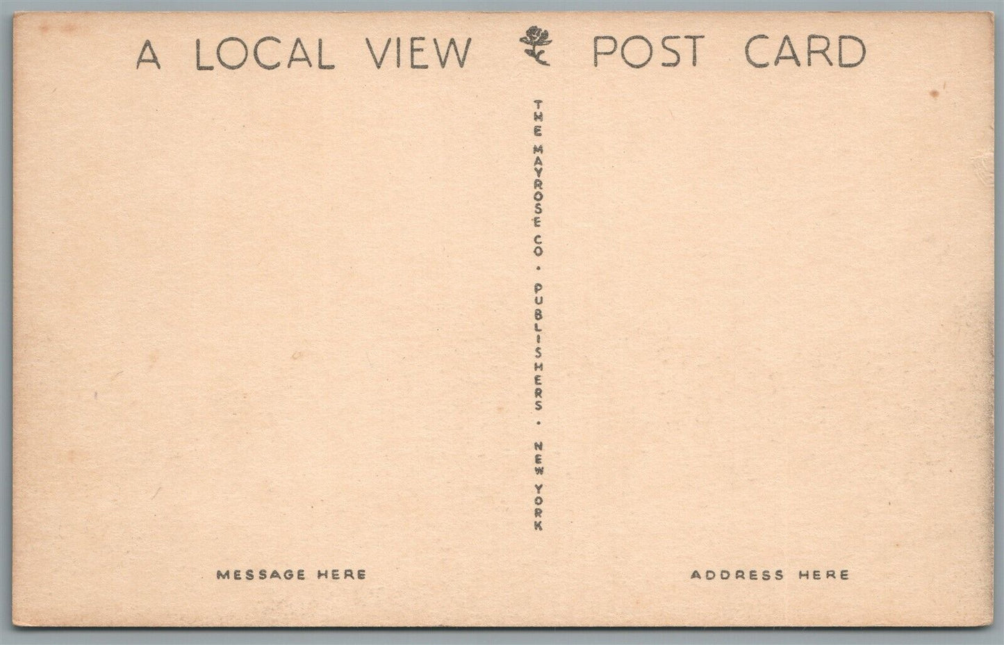 MILFORD NJ RIEGEL RIDGE COMMUNITY BUILDING ANTIQUE POSTCARD