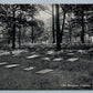 BETHLEHEM PA OLD MORAVIAN CEMETERY ANTIQUE POSTCARD
