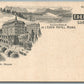 SWITZERLAND LUCERNE EDEN-HOUSE HOTEL ANTIQUE POSTCARD