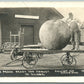 EXAGGERATED PEACH ON ILLINOIS RAILROAD STATION ANTIQUE REAL PHOTO POSTCARD RPPC