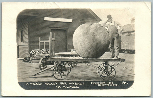 EXAGGERATED PEACH ON ILLINOIS RAILROAD STATION ANTIQUE REAL PHOTO POSTCARD RPPC