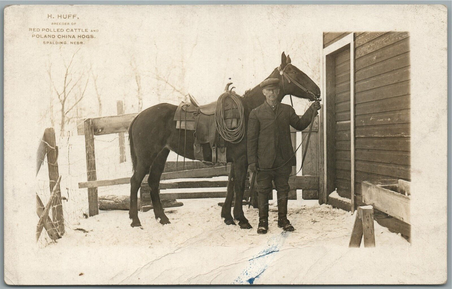 SPALDING NE BREEDER OF CATTLE POLAND CHINA HOGS ANTIQUE REAL PHOTO POSTCARD RPPC