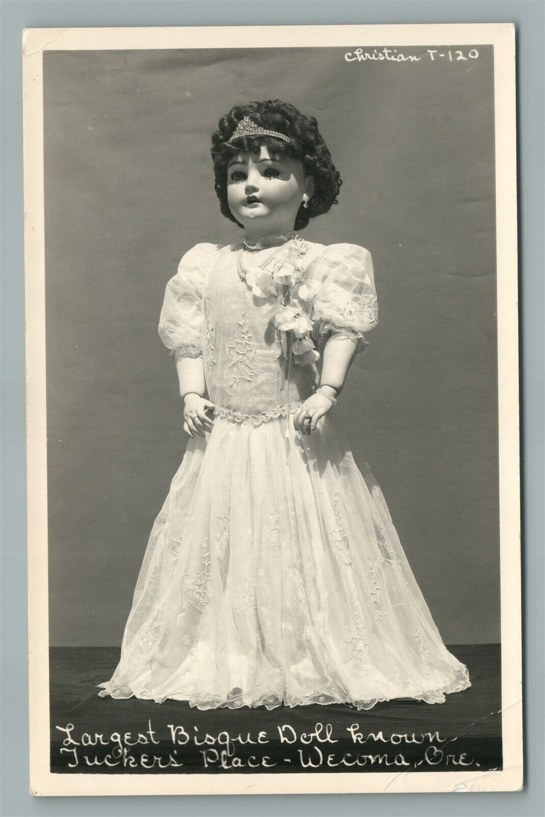 LARGEST BISQUE DOLL WECOMA OR ANTIQUE REAL PHOTO POSTCARD RPPC