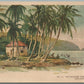 PUERTO RICO MID-WINTER SCENE ANTIQUE POSTCARD PORTO RICO