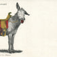 DONKEY ROCKY MOUNT CANARY ANTIQUE UNDIVIDED POSTCARD PRIVATE MAILING CARD