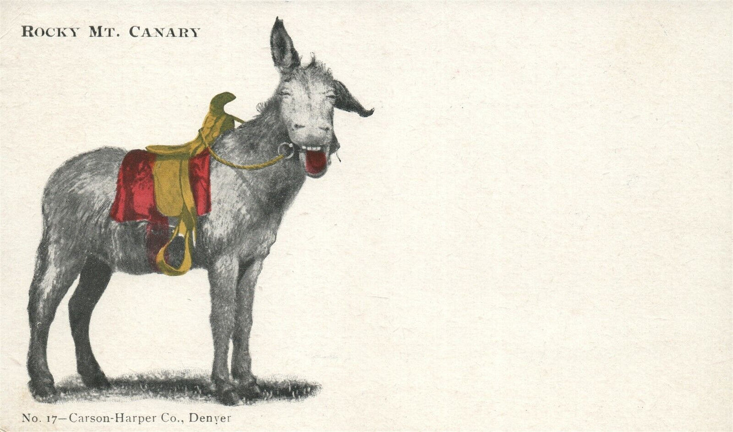 DONKEY ROCKY MOUNT CANARY ANTIQUE UNDIVIDED POSTCARD PRIVATE MAILING CARD