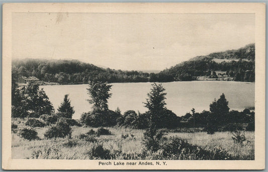 ANDES NY PERCH LAKE ANTIQUE POSTCARD