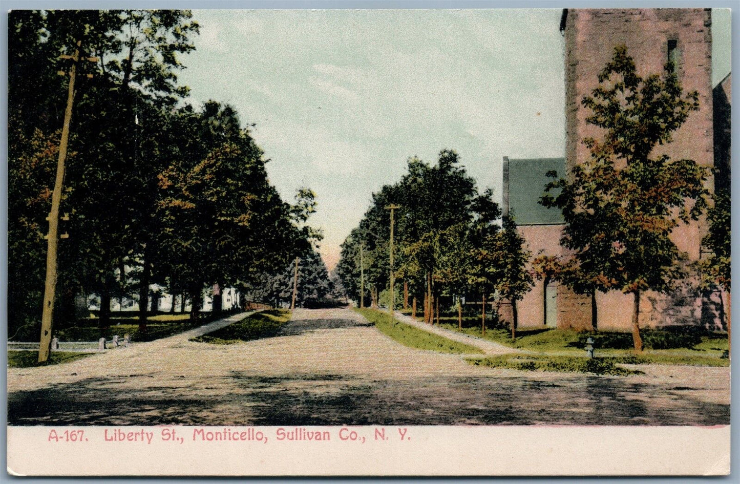 MONTICELLO SULLIVAN CO. NY LIBERTY STREET ANTIQUE POSTCARD