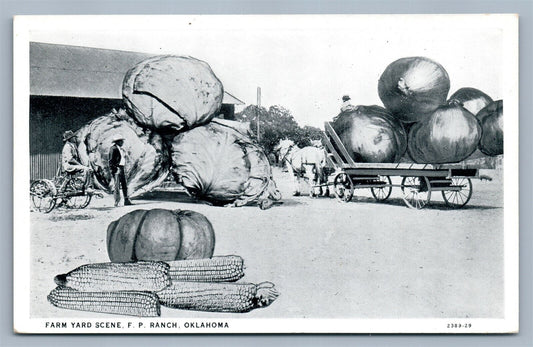 F.P. RANCH OKLAHOMA FARM YARD SCENE ANTIQUE POSTCARD